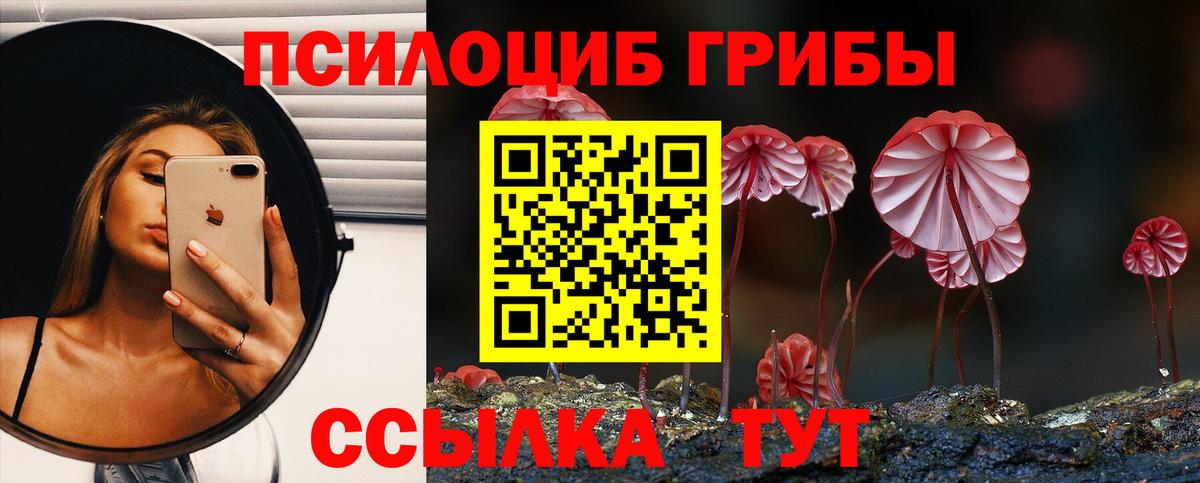 Галлюциногенные грибы Psilocybe  Галлюциногенные грибы Cubensis  Семёнов  Вход с VPN 